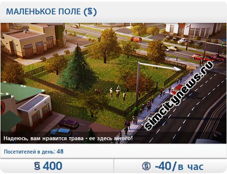 Маленькое поле