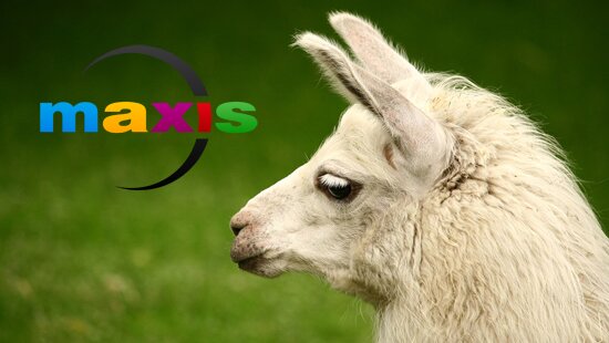 Лама и Maxis